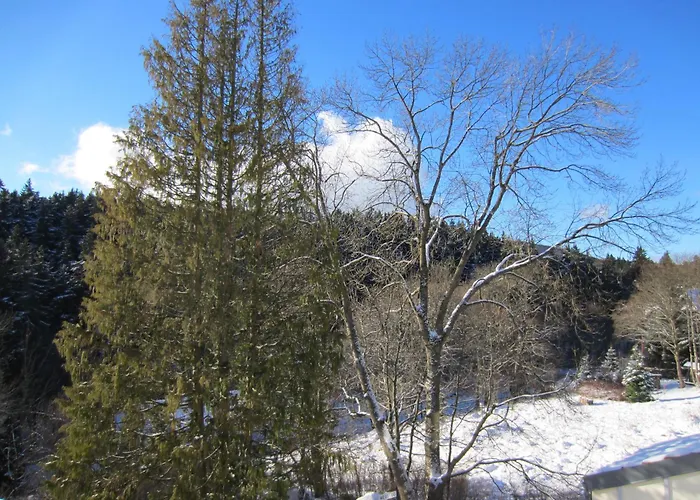 Lägenhet Brockenapartments Schierke